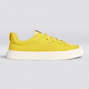 Men Cariuma Low Top Bamboo Weave Knit Vegan IBI Sun Yellow | GH0641539