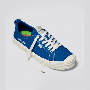 Men Cariuma Low Top Canvas OCA LOW Classic Blue | TU7895261