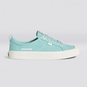 Men Cariuma Low Top Canvas OCA LOW Eggshell Blue | HQ3096742