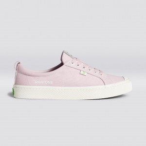 Men Cariuma Low Top Canvas OCA LOW Pale Lilac | LO4397658