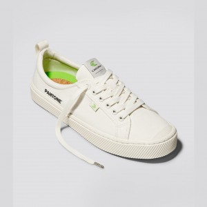 Men Cariuma Low Top Canvas OCA LOW Snow White | XK1027396