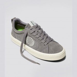 Men Cariuma Low Top Suede CATIBA PRO Grey | RA9403756