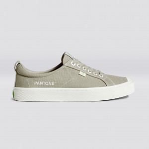 Women Cariuma Low Top Canvas OCA LOW Plaza Taupe | ZA9130658