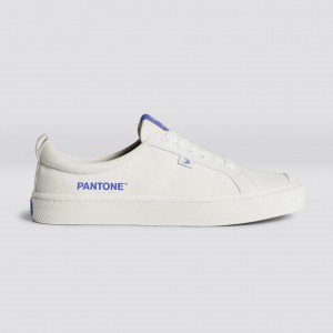 Women Cariuma Low Top Canvas Vegan OCA LOW Off-White / Very Peri Canvas | IE9732546