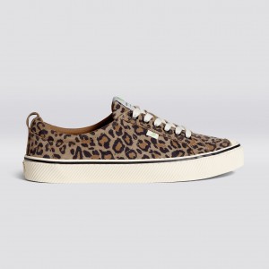 Women Cariuma Low Top Suede OCA LOW Leopard Print | YU3218957